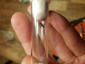 20230715_191902.jpg (3.15 MiB) 647 mal betrachtet 20230715_191902.jpg