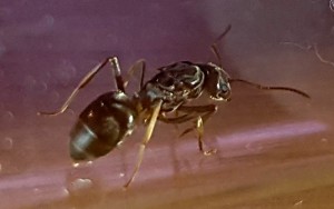 20230803_204529.jpg