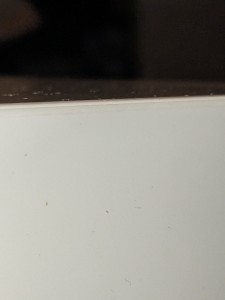 PXL_20230829_035201109.jpg