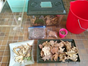 IMG_20230902_180707.jpg (3.69 MiB) 968 mal betrachtet die Zutaten