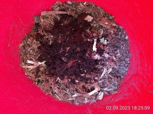 IMG_20230902_182509.jpg (4.3 MiB) 968 mal betrachtet Schritt 1