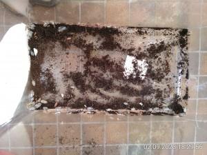 IMG_20230902_182956.jpg (3.89 MiB) 973 mal betrachtet Das Ex-Asselarium