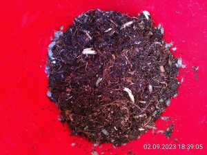 IMG_20230902_183905.jpg (3.87 MiB) 977 mal betrachtet und fertig