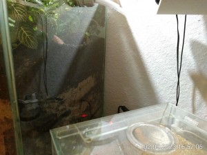 IMG_20230902_165206.jpg (2.98 MiB) 974 mal betrachtet rechts