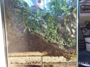 IMG_20230902_170141.jpg (3.95 MiB) 969 mal betrachtet links