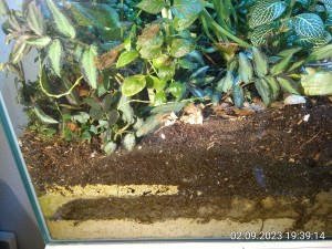 IMG_20230902_193914.jpg (4.38 MiB) 977 mal betrachtet von links nach rechts im Detail