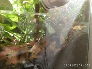 IMG_20230902_194613.jpg (2.51 MiB) 1346 mal betrachtet Die rechte Seite sehe ich selber nur selten.