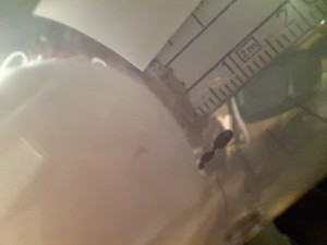 20230917_200621.jpg
