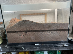 IMG_0812.jpeg (1.37 MiB) 2329 mal betrachtet Die Erde war anfangs auf Höhe der Linie, sie verschieben enorme Mengen Erde!