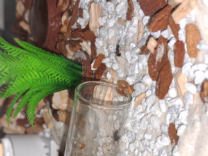 20231114_151649.jpg (2.32 MiB) 829 mal betrachtet 20231114_151649.jpg