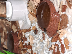 20231114_152226.jpg (2.14 MiB) 829 mal betrachtet 20231114_152226.jpg