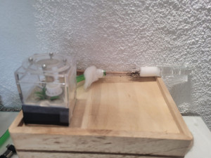 Reagenzglas wird am Nest-Cube angeschlossen