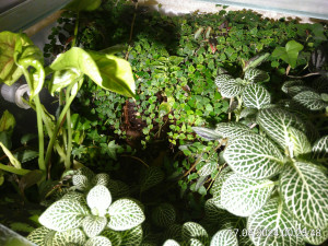 IMG_20240417_002548.jpg (3.53 MiB) 2245 mal betrachtet Hier sieht man es nicht so gut.