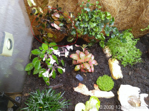 Tasche.JPG (386.5 KiB) 2245 mal betrachtet Gefunden!