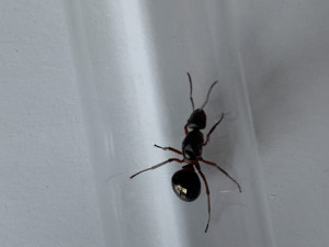 IMG_5569.jpeg