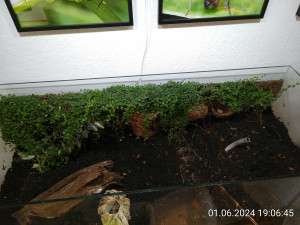 IMG_20240601_190645.jpg (2.97 MiB) 2213 mal betrachtet Das war endgültig.