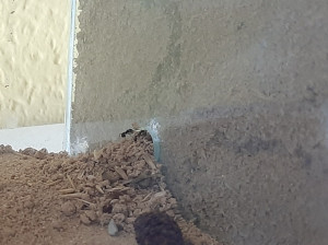 20240812_102928.jpg