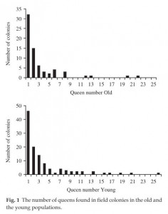 anzahl königinnen.JPG