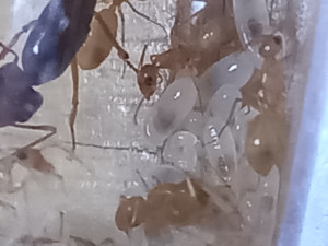 20250429_165205.jpg