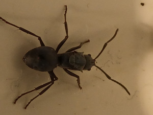 20250416_195622.jpg