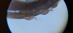 20250525_123049.jpg