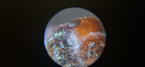 20250527_175439.jpg