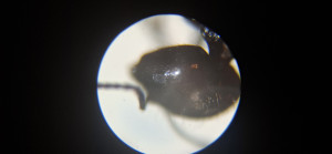 20250527_175739.jpg