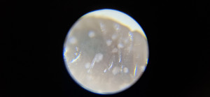 20250527_173948.jpg