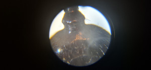 20250527_175027.jpg