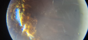 20250527_174500.jpg