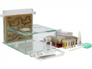 ANTCUBE Starter Set L - 20x20 - Kork.jpg
