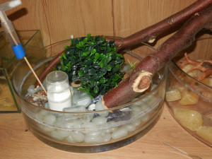 DSCN5658.JPG