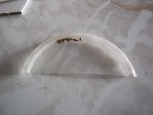 DSCN5687.JPG