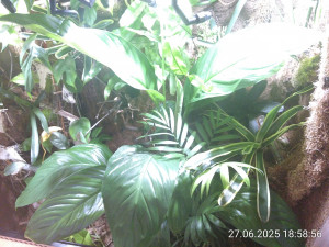 IMG_20250627_185856.jpg