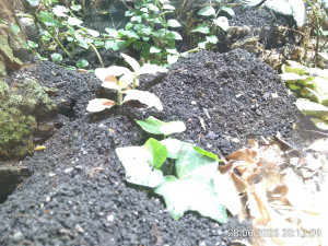 IMG_20250628_201209.jpg