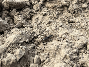 IMG_5053.jpeg