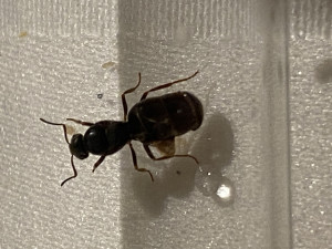 IMG_6662.jpeg