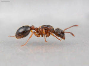 IMG_2039.jpeg