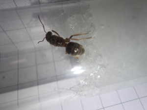 20250724_090145.jpg