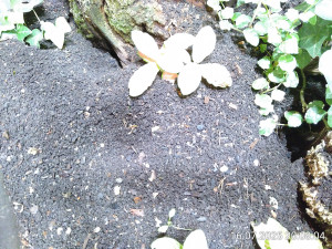 und weg