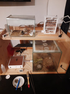 Gesamtes Setup