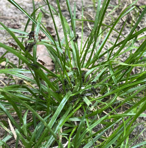 IMG_6707.jpeg