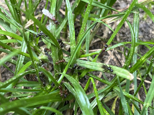 IMG_6705.jpeg