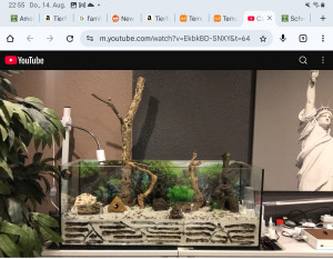 Screenshot_20250814_225530_Chrome.jpg