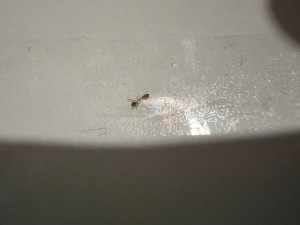 IMG_4237.jpeg