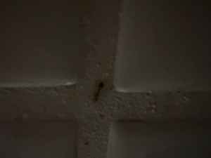 03cb94f2-1ea3-452d-94ed-5a6e15064381.jpeg