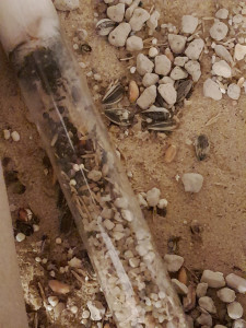 bild2.jpeg (352.06 KiB) 918 mal betrachtet bild2.jpeg