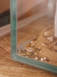 bild1.jpeg (203.83 KiB) 1127 mal betrachtet bild1.jpeg