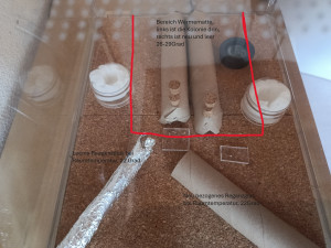 Übersicht Anlage.jpg