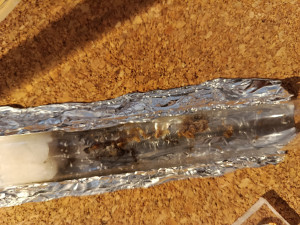 Neu bezogenes, Reagenzglas bei Raumtemperatur.jpg